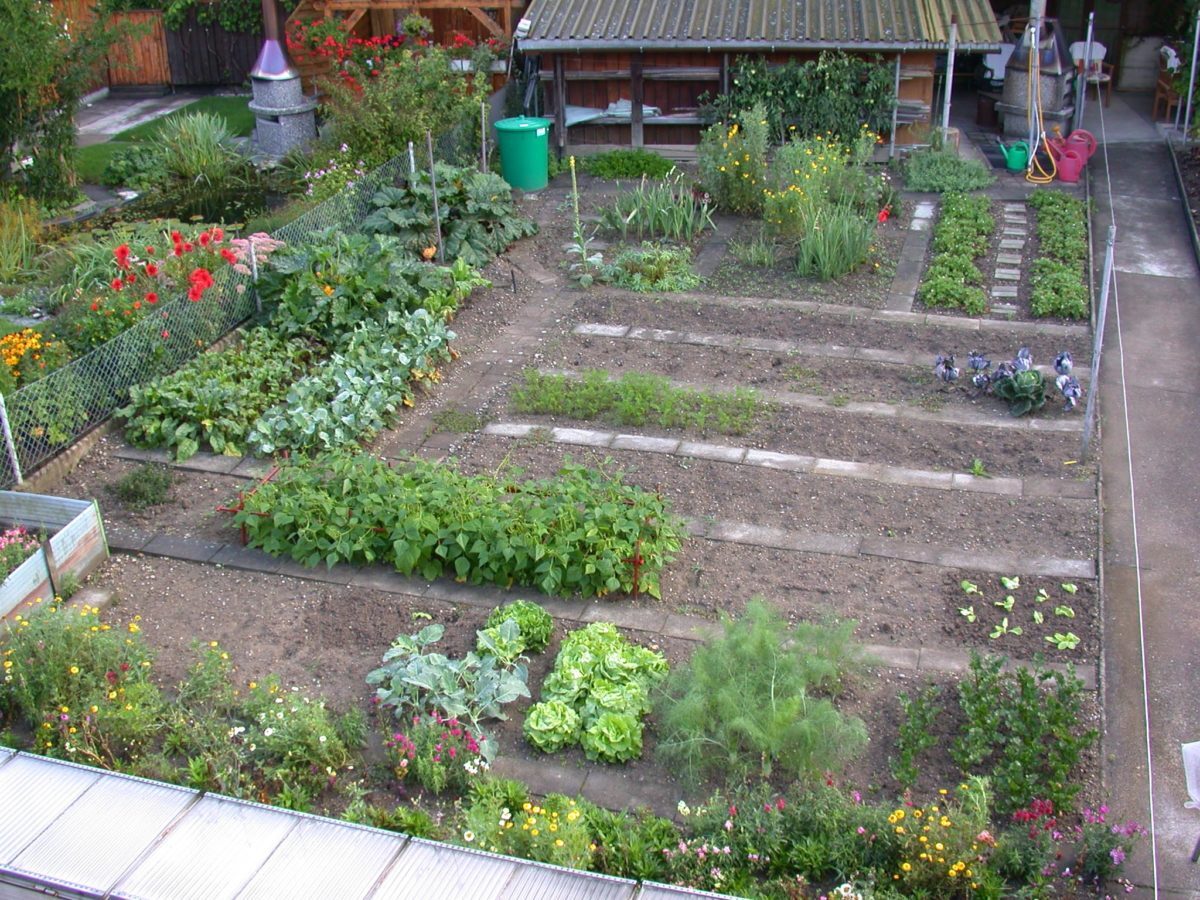 B12-Ein-gepflegter-Gemüsegarten-2-e1538682525210.jpg