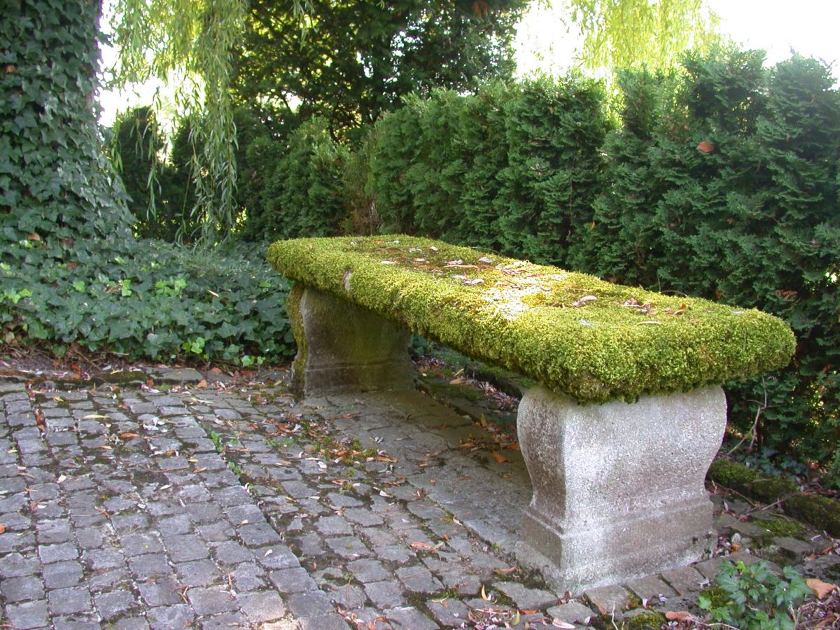 B32-Moosüberwachsene-Steinbank-2-e1538682866638.jpg