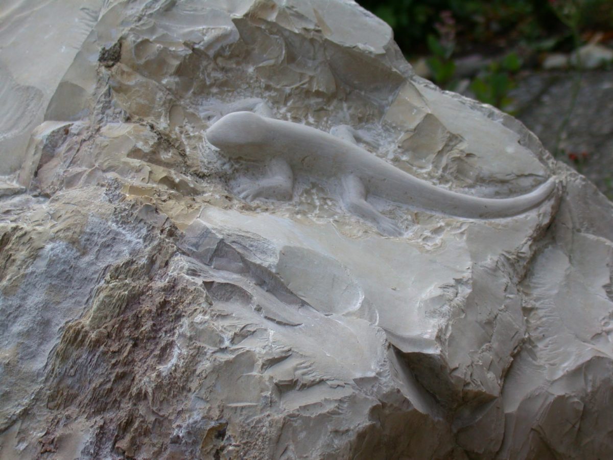 B38-Eidechse-in-Kalkstein-gehauen-1-2-e1538682908965.jpg