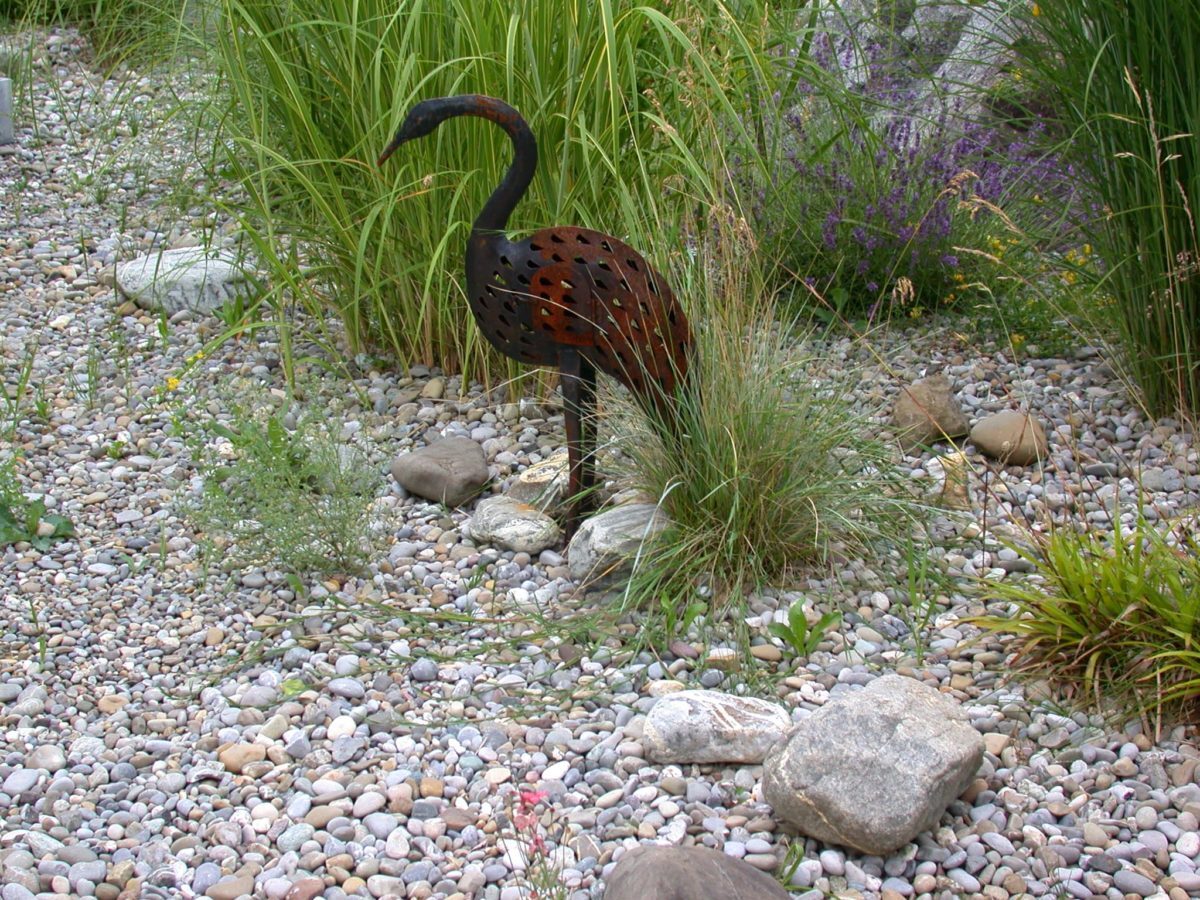 B41-Vogel-im-Gräsergarten-3-e1538682929744.jpg