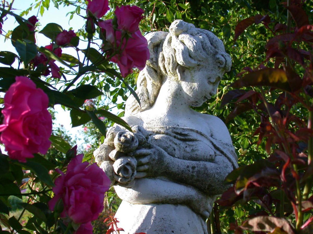 B6-Romantik-im-Rosengaren-2-e1538682484689.jpg