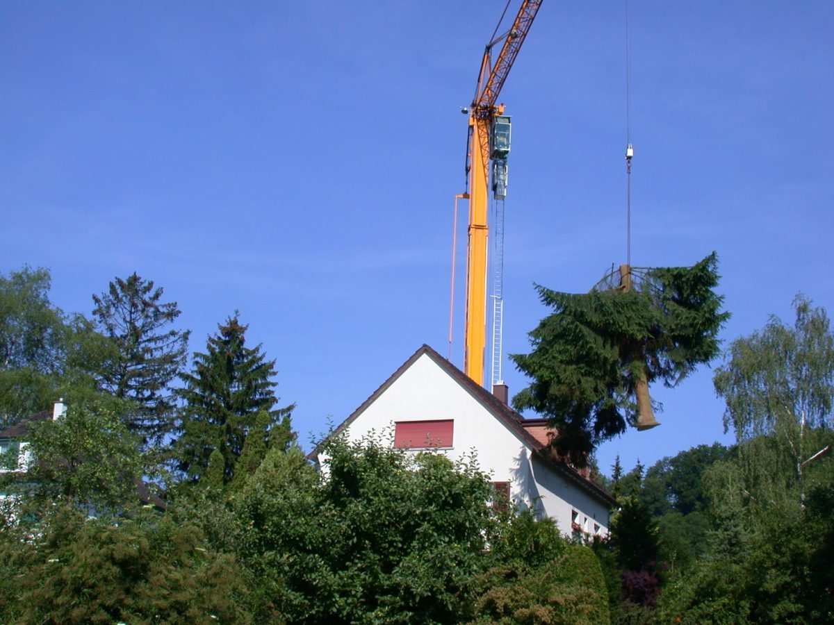 D12-Kraneinsatz-in-der-Gartenpflege-e1538683449342.jpg