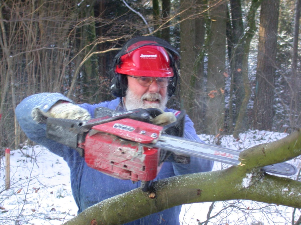 D8-Ausasten-nach-der-Fällung-e1538683426766.jpg
