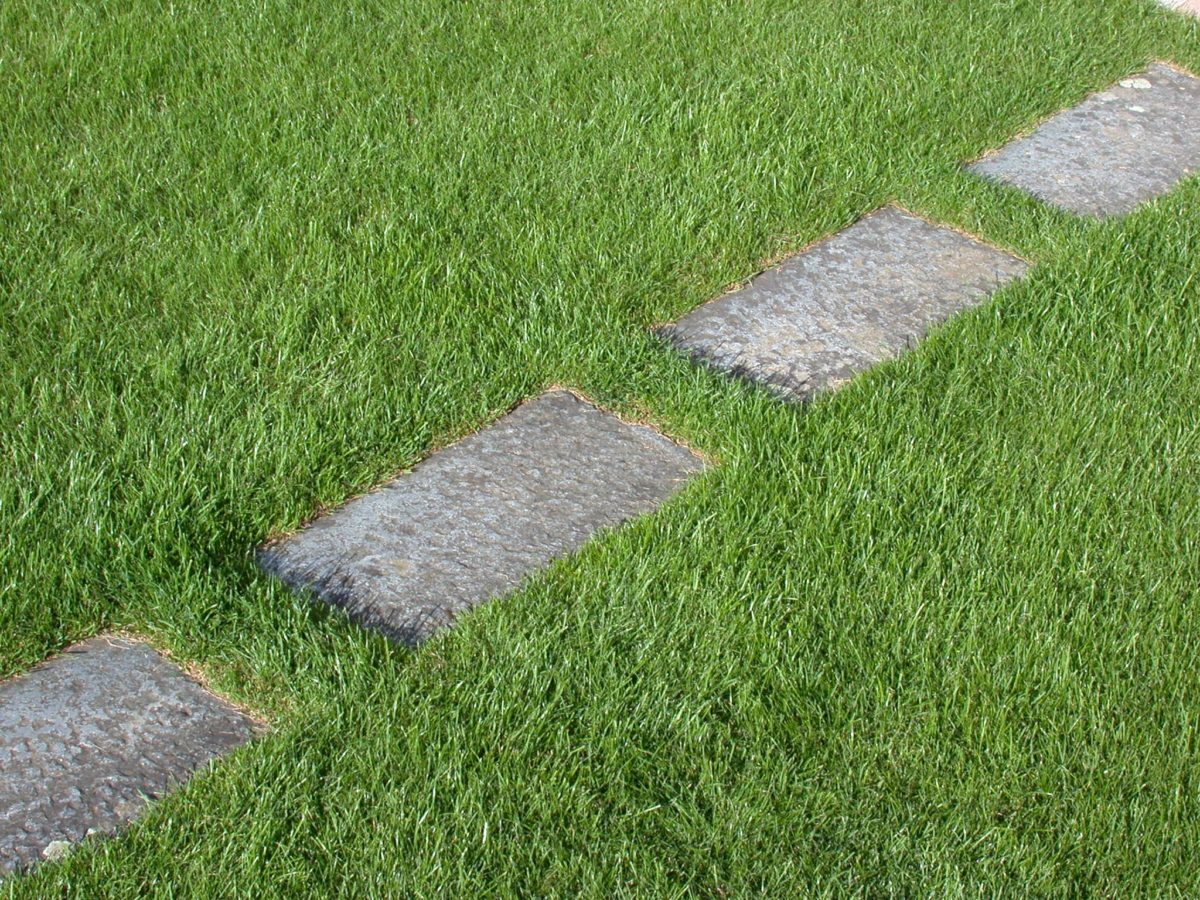 E3-Granitschrittplatten-im-Rasen-e1538684735494.jpg