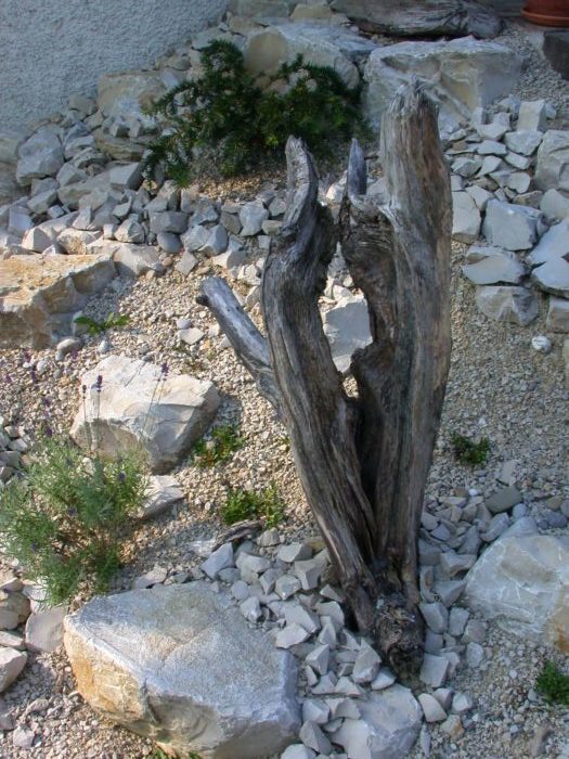 Steingarten-mit-Schwemmholz-Borel-Bänk-1-e1539019778778.jpg